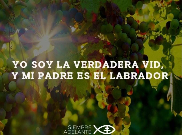 REFLEXIÓN DEL EVANGELIO - 5to DOMINGO DE PASCUA