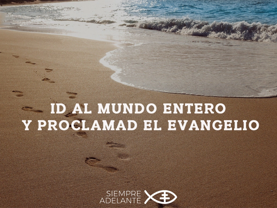 REFLEXIÓN DEL EVANGELIO - DOMINGO DE LA ASCENSIÓN