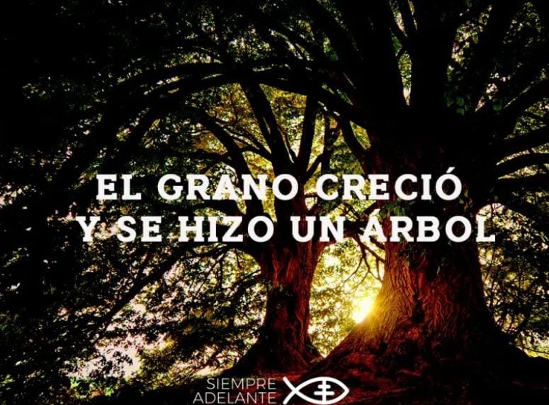 REFLEXIÓN DEL EVANGELIO - DOMINGO 11 DEL TIEMPO ORDINARIO - CICLO B