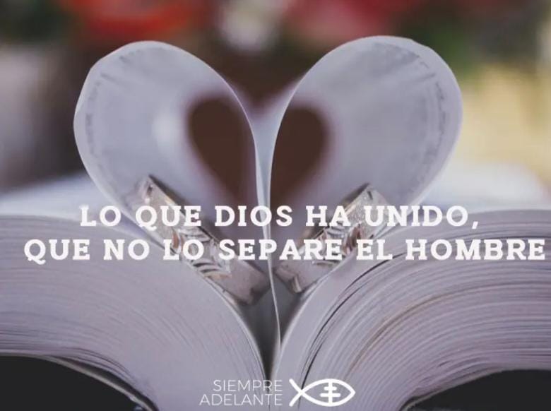 REFLEXIÓN DEL EVANGELIO - DOMINGO 27 DEL TIEMPO ORDINARIO - CICLO B
