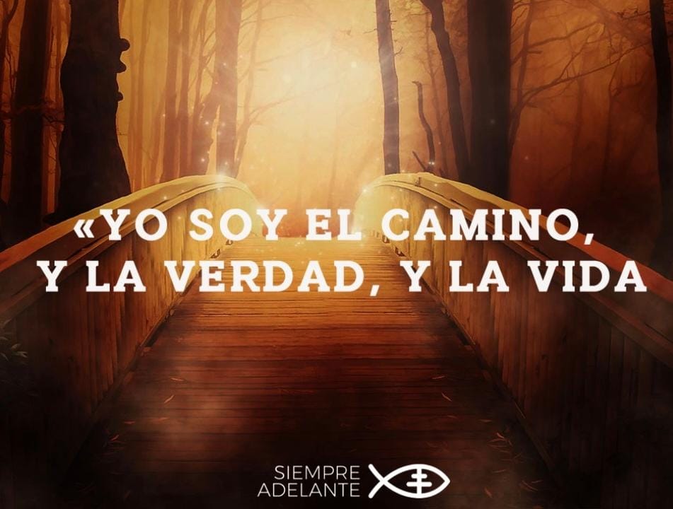 REFLEXIÓN DEL EVANGELIO - CONMEMORACIÓN DE LOS FIELES DIFUNTOS
