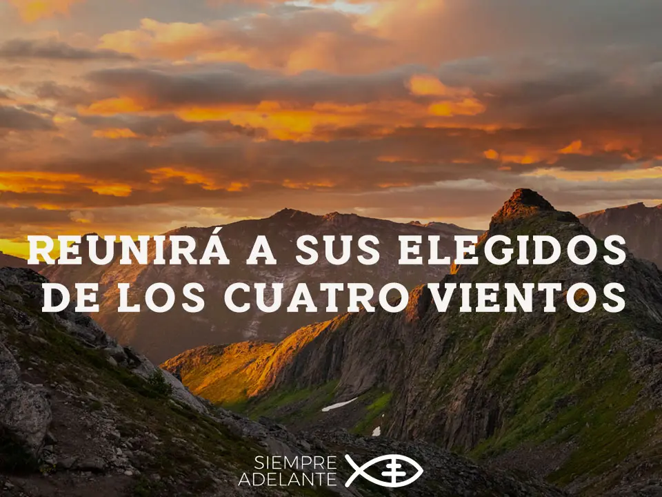 REFLEXIÓN DEL EVANGELIO - DOMINGO 33 DEL TIEMPO ORDINARIO - CICLO B