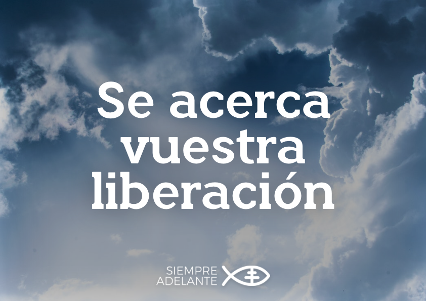 REFLEXIÓN DEL EVANGELIO - DOMINGO PRIMERO DE ADVIENTO - CICLO C