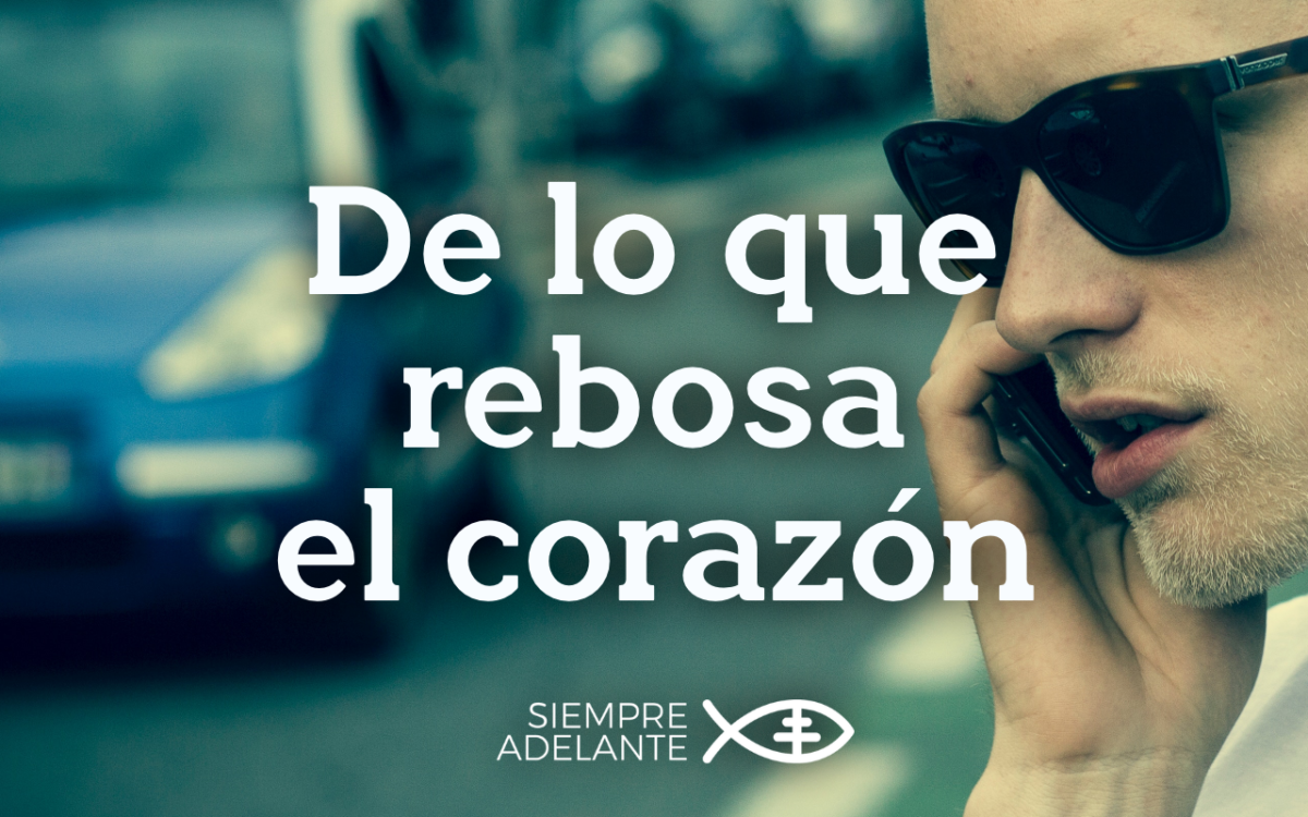REFLEXIÓN DEL EVANGELIO - DOMINGO VIII DEL TIEMPO ORDINARIO - CICLO C