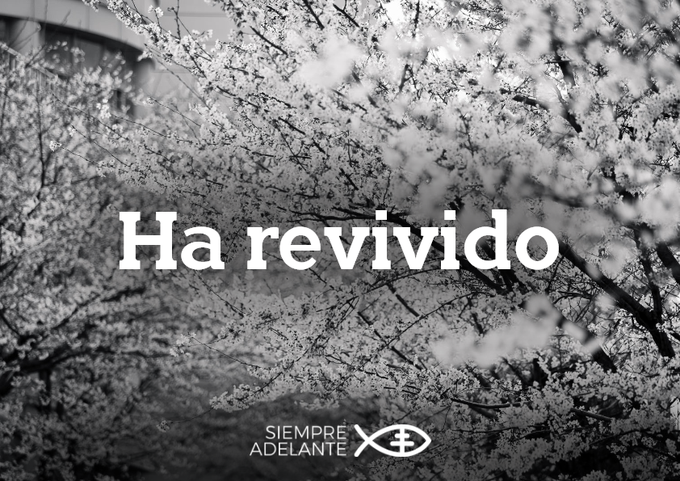 REFLEXIÓN DEL EVANGELIO - DOMINGO IV DE CUARESMA - CICLO C