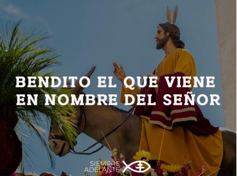 REFLEXIÓN DEL EVANGELIO - DOMINGO DE RAMOS - CICLO C