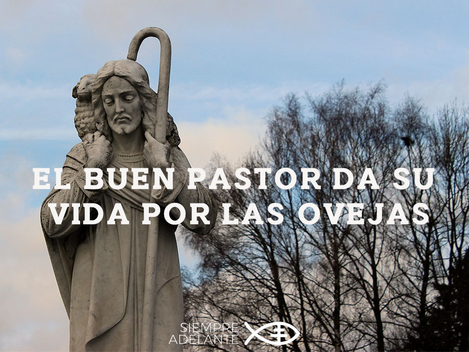 REFLEXIÓN DEL EVANGELIO - IV DOMINGO DE PASCUA - CICLO C
