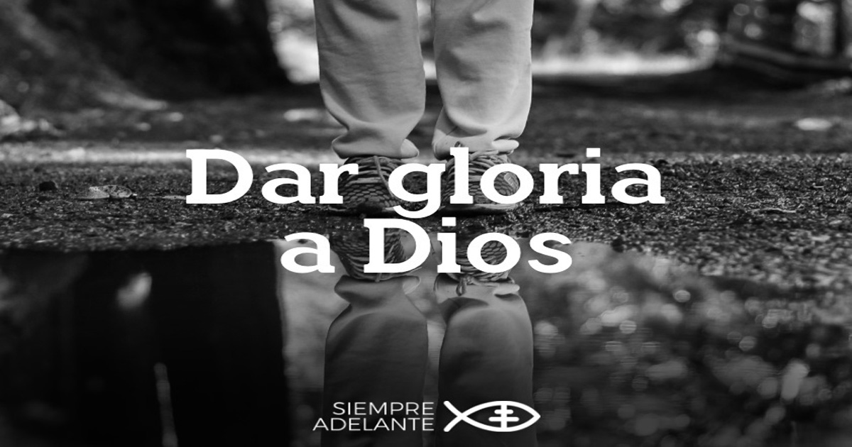 REFLEXIÓN DEL EVANGELIO - DOMINGO XXVIII DEL TIEMPO ORDINARIO - Ciclo C