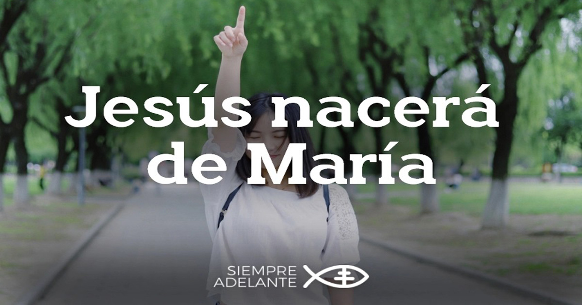 REFLEXIÓN DEL EVANGELIO DOMINGO IV DE ADVIENTO