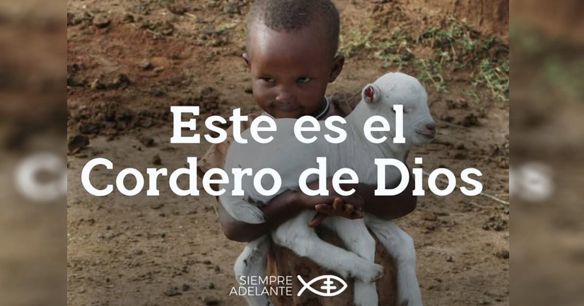REFLEXIÓN DEL EVANGELIO - II DOMINGO DEL TIEMPO ORDINARIO - Ciclo A