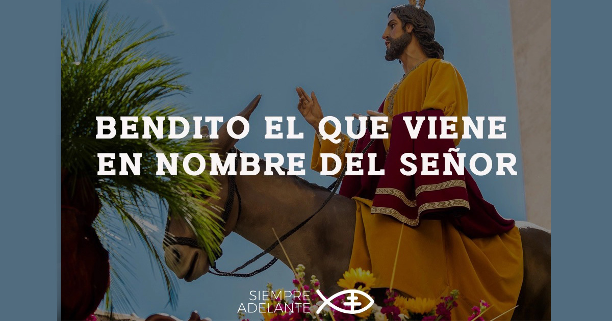 REFLEXIÓN EVANGELIO PASIÓN EN EL DOMINGO DE RAMOS.