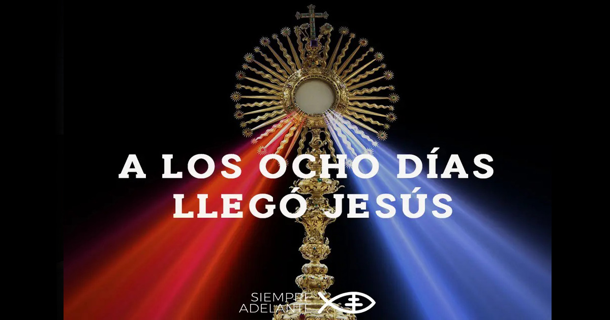 REFLEXIÓN DEL EVANGELIO - II DOMINGO DE PASCUA - DE LA DIVINA MISEIRCORDIA