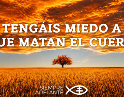REFLEXIÓN DEL EVANGELIO – DOMINGO XII TIEMPO ORDINARIO – CICLO A