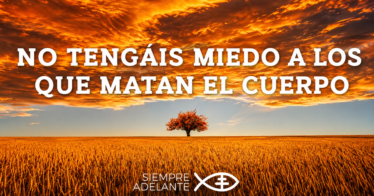 REFLEXIÓN DEL EVANGELIO - DOMINGO XII TIEMPO ORDINARIO - CICLO A