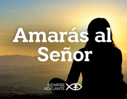 REFLEXIÓN DEL EVANGELIO – DOMINGO XXX TIEMPO ORDINARIO – CICLO A